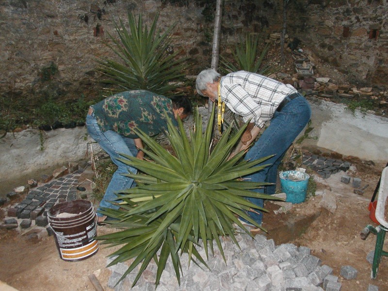 Il Laghetto del Centro di Entomologia - Piombino (LI)